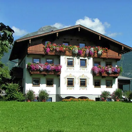 Schleicherhof 4 公寓 *